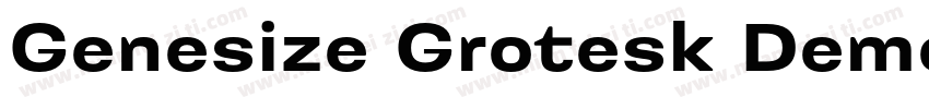 Genesize Grotesk Demo字体转换